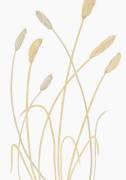 Bunny Grass 01 (1x Studio II) - Muzeo.com