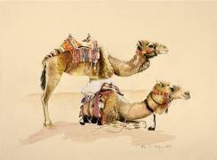 Camels from Petra (Alison Cooper) - Muzeo.com