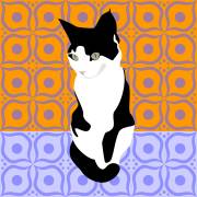 Cat on Moroccan Tiles (Claire Huntley) - Muzeo.com