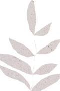 Delicate Leaves (Anastasia Sawall) - Muzeo.com