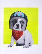 Easy Rider (Anne Storno) - Muzeo.com