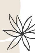 Flower and Cream (Anastasia Sawall) - Muzeo.com