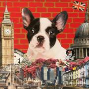 Hug my frenchie (Anne Storno) - Muzeo.com
