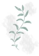 Jazzy Leaves (1x Studio II) - Muzeo.com