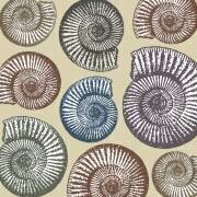Jurassic Coast (Sarah Hough) - Muzeo.com