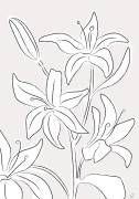 Lillies No 03 (1x Studio II) - Muzeo.com