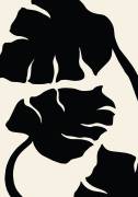 Monstera (1x Studio) - Muzeo.com
