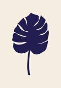 Monstera (1x Studio) - Muzeo.com