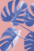 Monstera Purple 06 (1x Studio III) - Muzeo.com