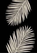 Palm Leaves (1x Studio) - Muzeo.com