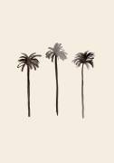 Palm Trees Ink (1x Studio) - Muzeo.com