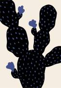 Prickle Pear Cactus (1x Studio) - Muzeo.com