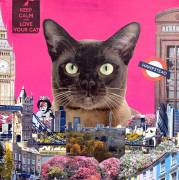 Urban cat (Anne Storno) - Muzeo.com