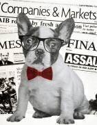 Wall street dog (Anne Storno) - Muzeo.com