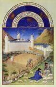 The month of July from The Very Rich Hours of Duke of Berry (Brothers Limbourg) - Muzeo.com
