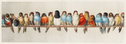 A Perch of Birds (Hector Giacomelli) - Muzeo.com
