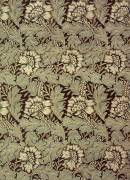 'Anemone' design (William Morris) - Muzeo.com