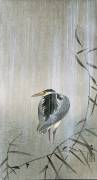 Bird in the Rain (Ohara Koson) - Muzeo.com