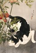 Cat Prowling Around a Staked Tomato Plant (Takahashi Hiroaki) - Muzeo.com