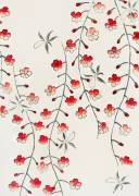 Cherry blossom (Watanabe Seitei) - Muzeo.com