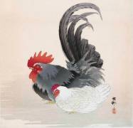 Chicken and Rooster (Ohara Koson) - Muzeo.com