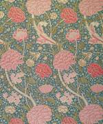 'Cray' (William Morris) - Muzeo.com