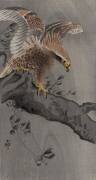 Eagle with Spread Wings on Tree Trunk (Ohara Koson) - Muzeo.com