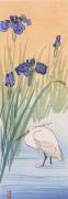 Egret (Ohara Koson) - Muzeo.com