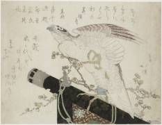 Falcon on a perch (anonymous) - Muzeo.com