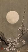 Flowering plum and moon (Ohara Koson) - Muzeo.com