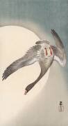Flying white-fronted goose seen from underneath in front of the moon (Ohara Koson) - Muzeo.com