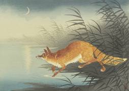 Fox by the Moonlit Water (Ohara Koson) - Muzeo.com
