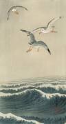 Gulls at Sea (Ohara Koson) - Muzeo.com