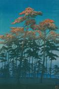 Hikawa Park at Omiya (Hasui Kawase) - Muzeo.com