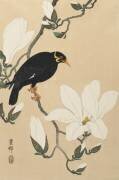 Hill Myna on a Magnolia Branch (Ohara Koson) - Muzeo.com