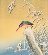 Kingfisher in the Snow (Ohara Koson) - Muzeo.com