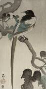 Magpie on a Pauwolna branch (Ohara Koson) - Muzeo.com