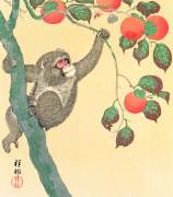 Monkey in a Persimmon Tree (Ohara Koson) - Muzeo.com