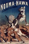 Nouma-Hawa ses lions et ses tigres (anonymous) - Muzeo.com