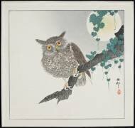 Owl (Ohara Koson) - Muzeo.com