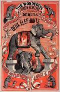 Performing the wonderful elephants trained and performed by James C. Edmonds. (anonymous) - Muzeo.com