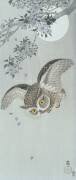 Scoop owl in flight with blossom and full moon (Ohara Koson) - Muzeo.com