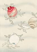 Shell fish (Watanabe Seitei) - Muzeo.com