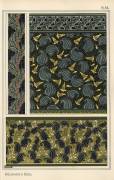Solomon's seal (Eugène Grasset) - Muzeo.com