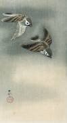 Sparrows in flight (Ohara Koson) - Muzeo.com