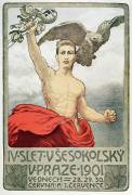 The 4th Assembly of Sokols in Prague in 1901 (Czech School) - Muzeo.com