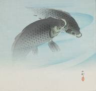 Two Carps (Ohara Koson) - Muzeo.com