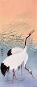 Two Cranes by Ohara Koson (Ohara Koson) - Muzeo.com