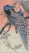 Two Peacocks on a Tree Branch (Ohara Koson) - Muzeo.com