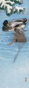 Two Wild Ducks in the Water (Ohara Koson) - Muzeo.com